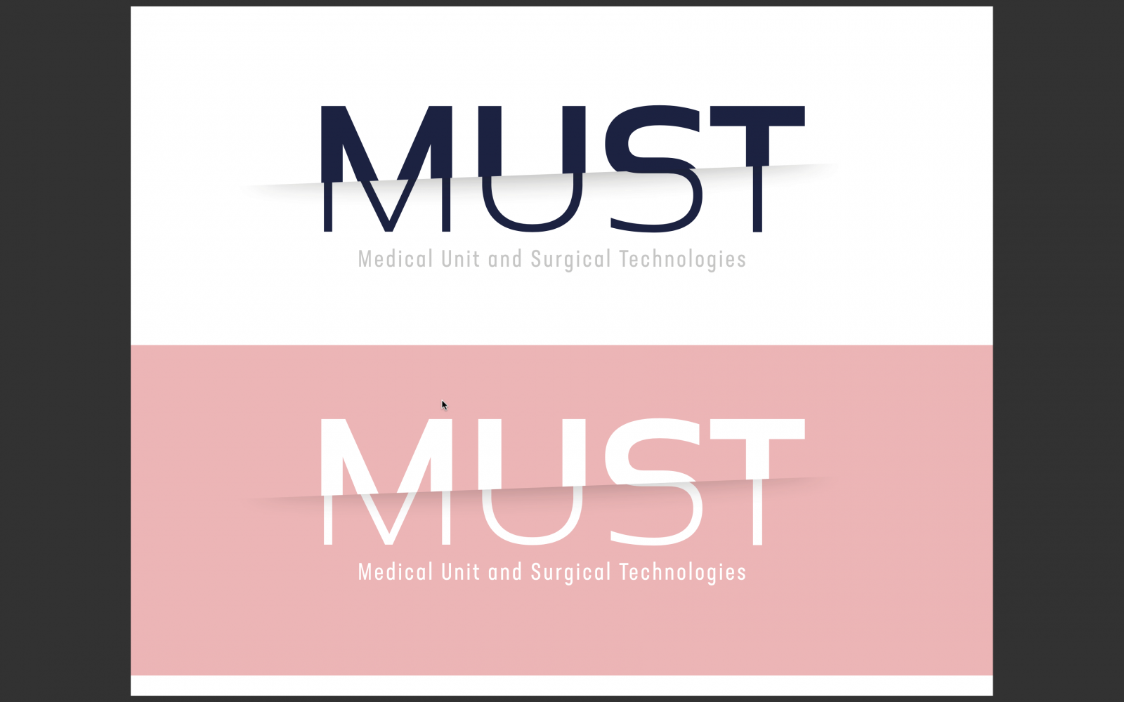 Recommandations internationales en chirurgie de l'obésité: commentaires du groupe MUST à Paris