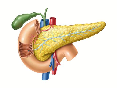 Le traitement chirurgical des cancer de la tête du pancréas à Paris